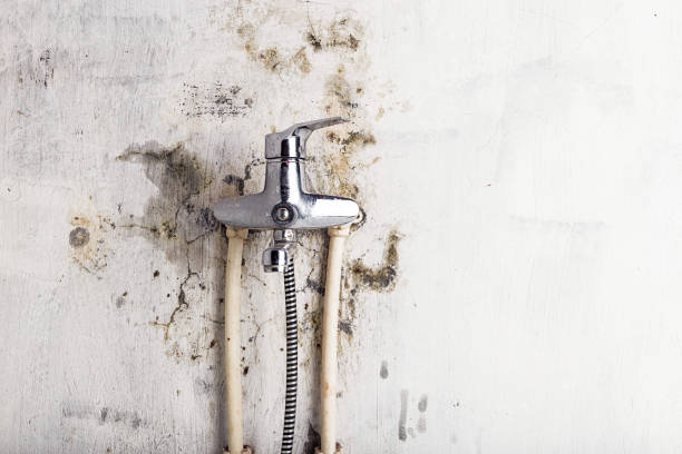 Best Mold Testing  in Vernon, WI