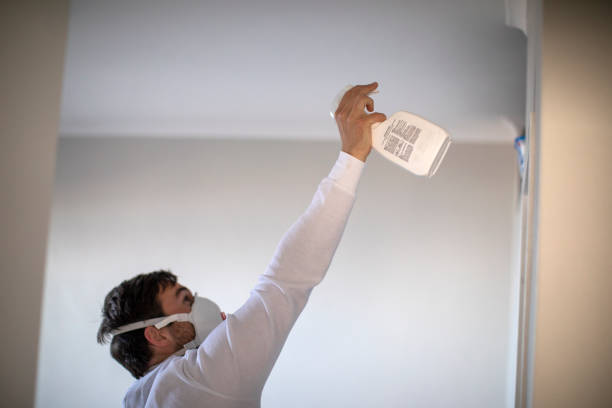 Best Local Mold Removal Service  in Vernon, WI