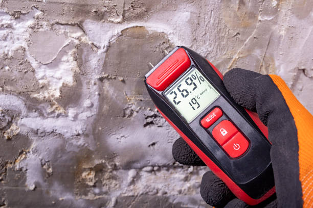 Best Office Mold Removal Services  in Vernon, WI